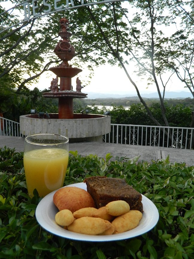 NEIVA (14)